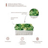 Корзина "Tropics" 40х31х17 см (белый)