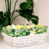 Корзина "Tropics" 40х31х17 см (белый)