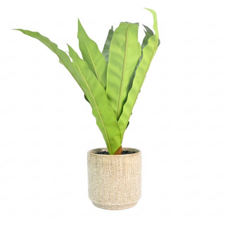 Искусственное растение "Драцена" в керамическом горшке LK-370