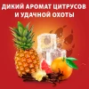 Аэрозольный дезодорант Old Spice Wolfthorn 250 мл